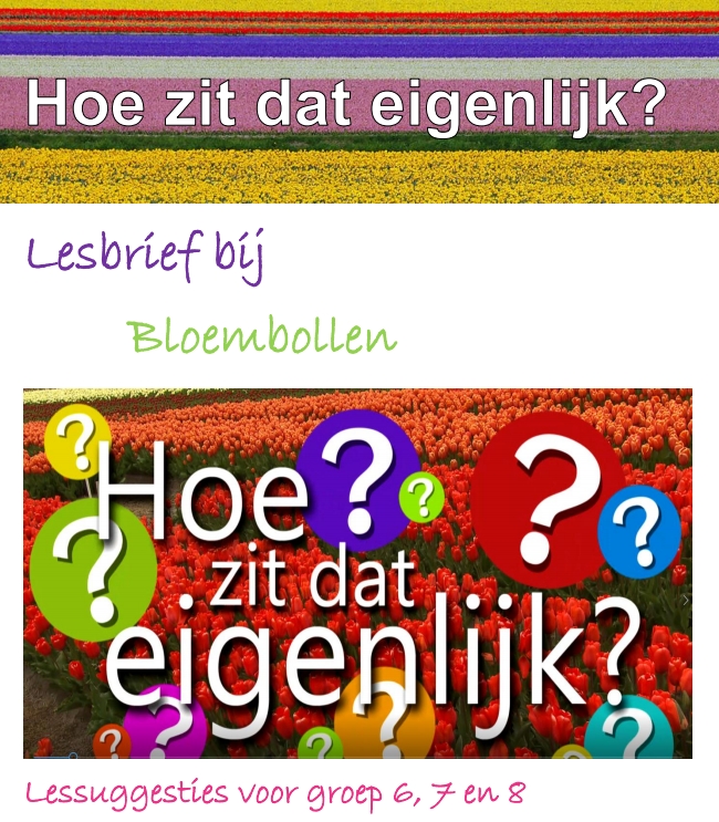 Hoe zit dat eigenlijk? - lesbrief bij bloembollen